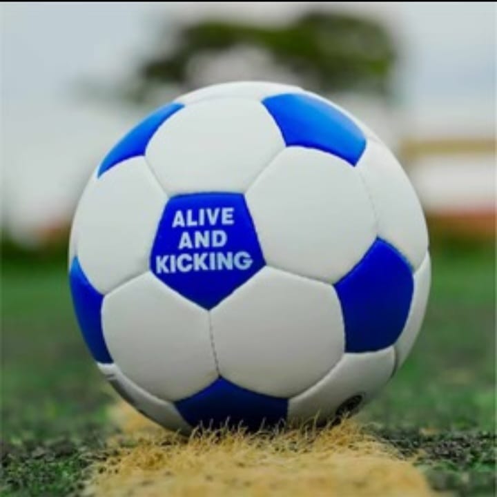 football Size 5 - Pigmented 